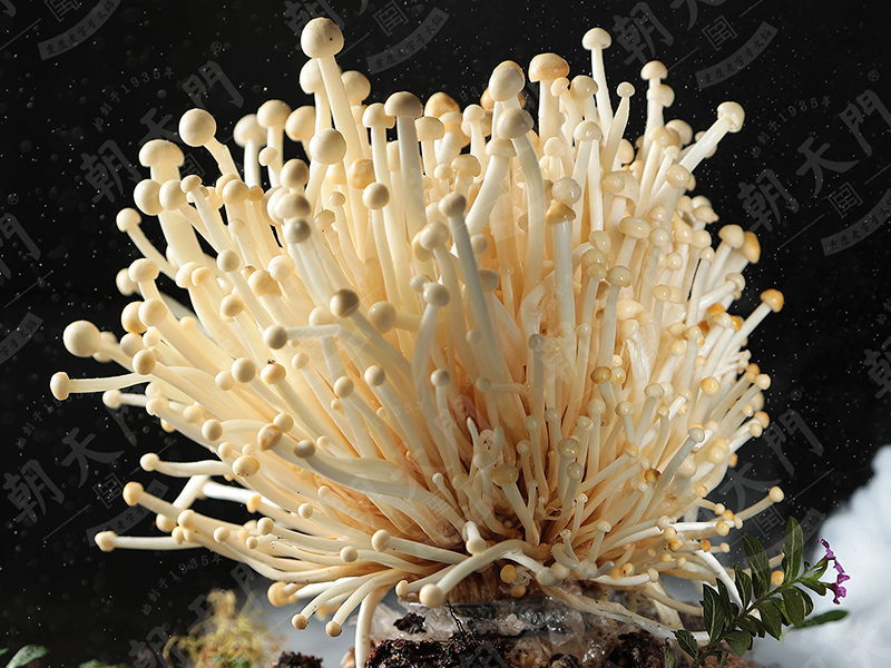 火鍋加盟店常見宣傳技巧有哪些？