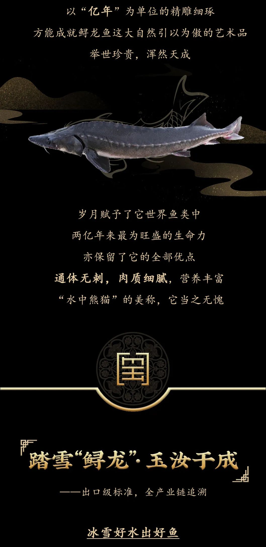 九州鱘龍魚片上新 | 自然臻藏，獻(xiàn)給吃魚有講究的人